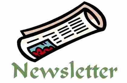 Newsletter icon